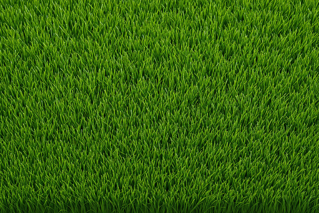 Artificial turf installer services in San Leandro CA